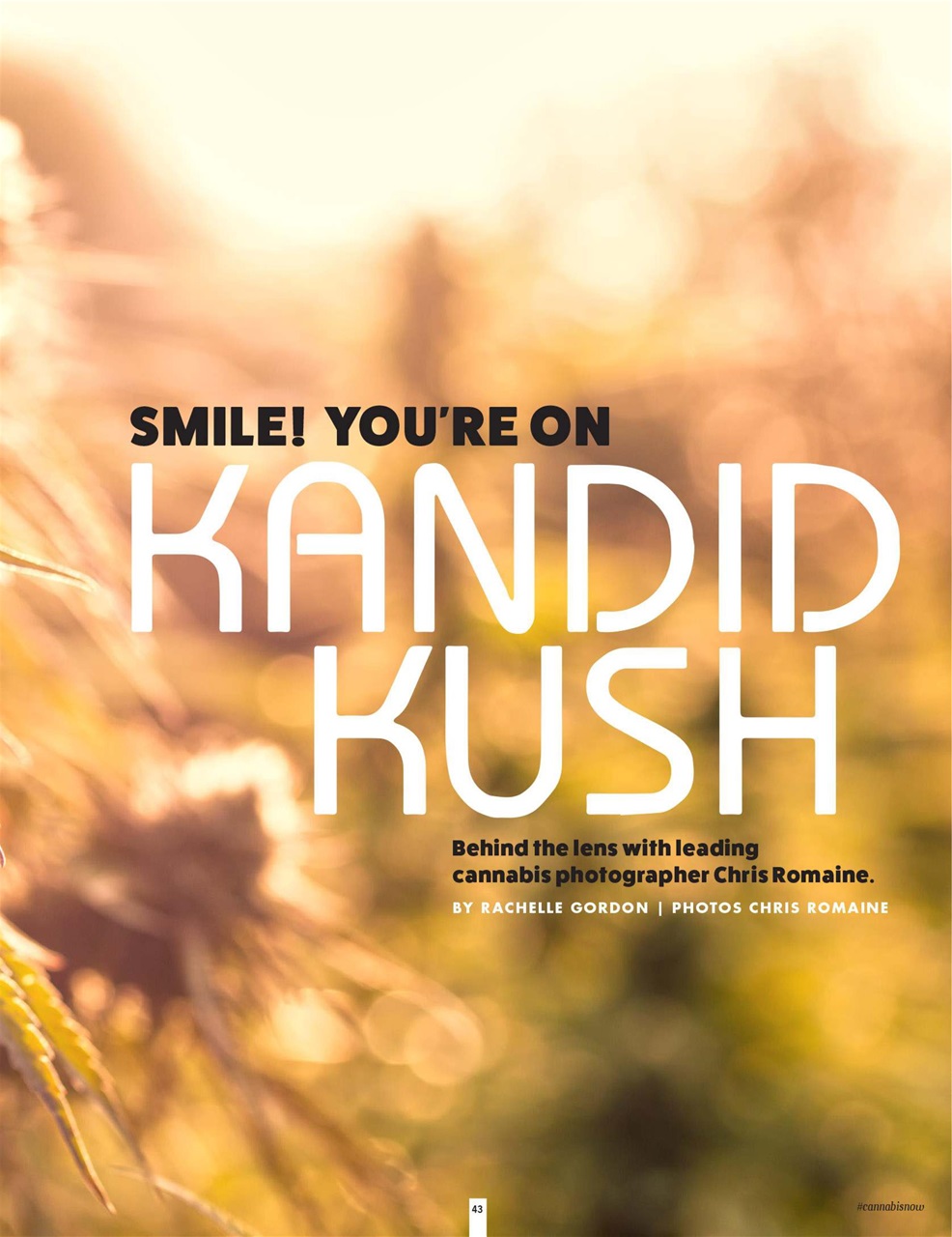 Cannabis Now Preview Pages