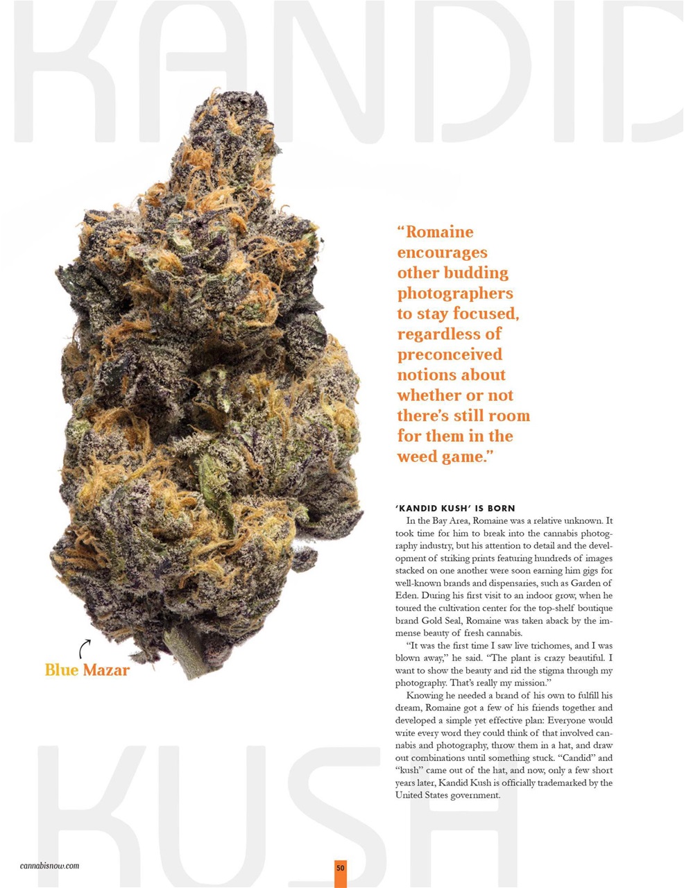 Cannabis Now Preview Pages