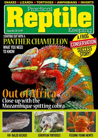 Practical Reptile Keeping issue Issue 120