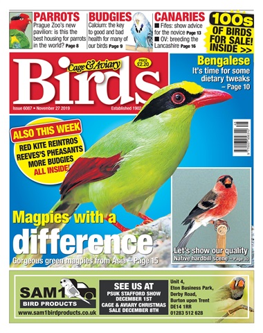 Cage & Aviary Birds issue 27/11/2019