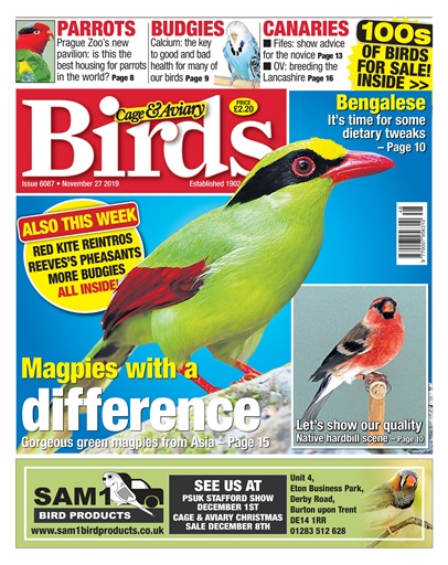 Cage & Aviary Birds issue 