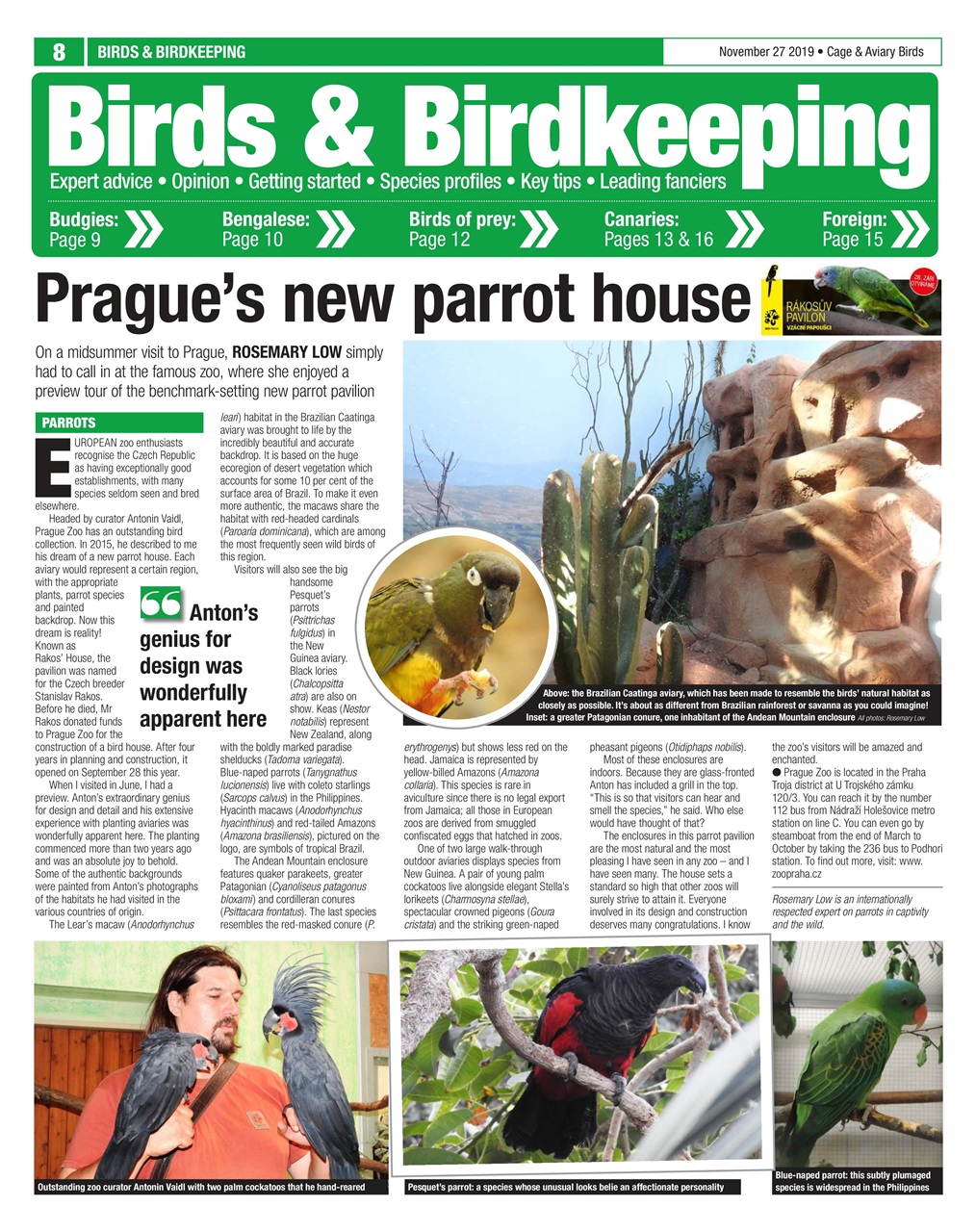 Cage & Aviary Birds Preview Pages