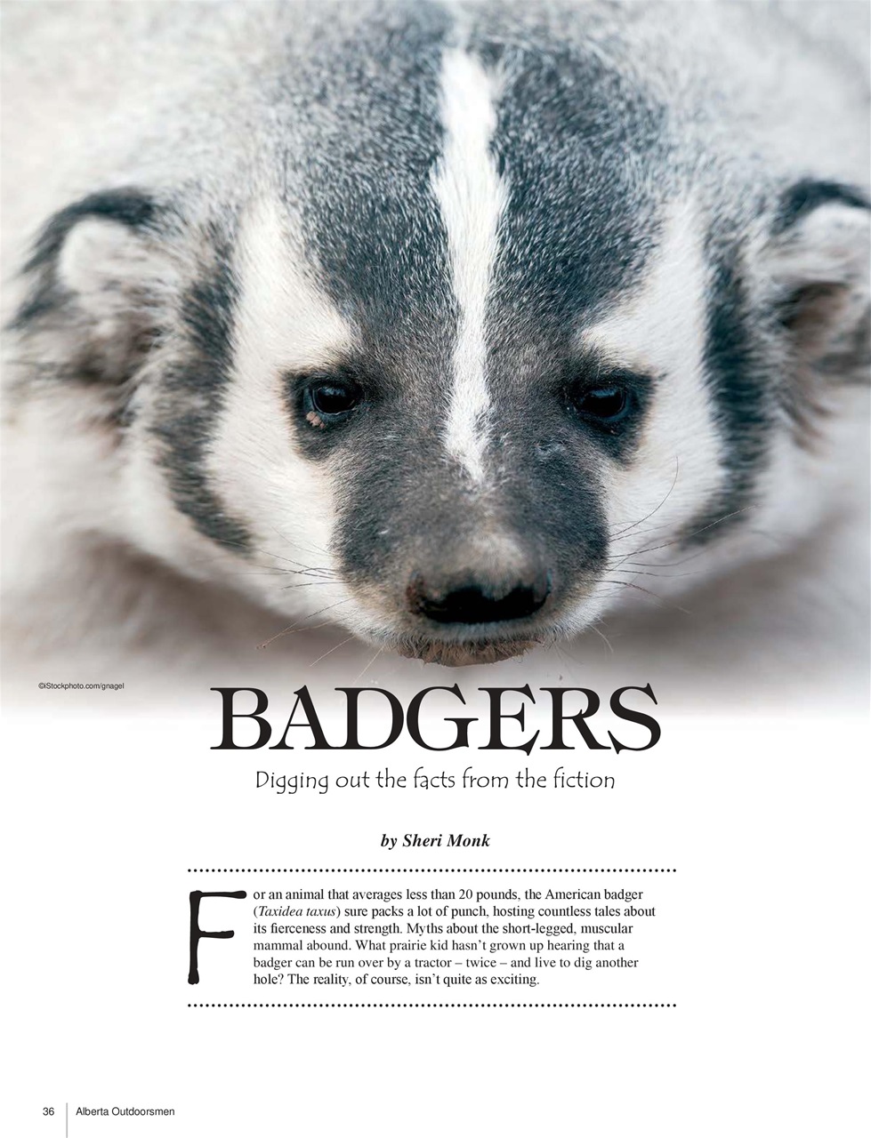 Alberta Outdoors Preview Pages