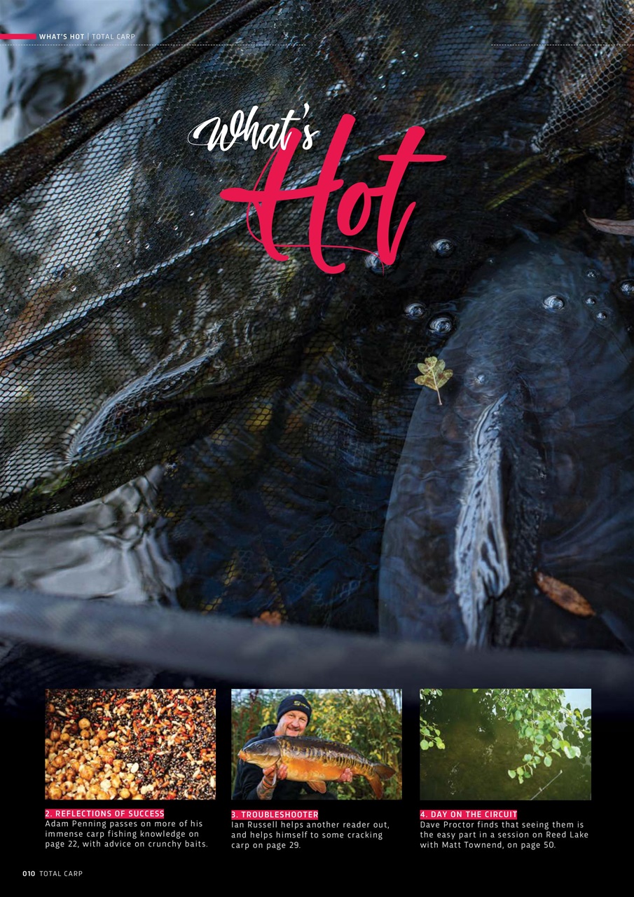 Total Carp Preview Pages