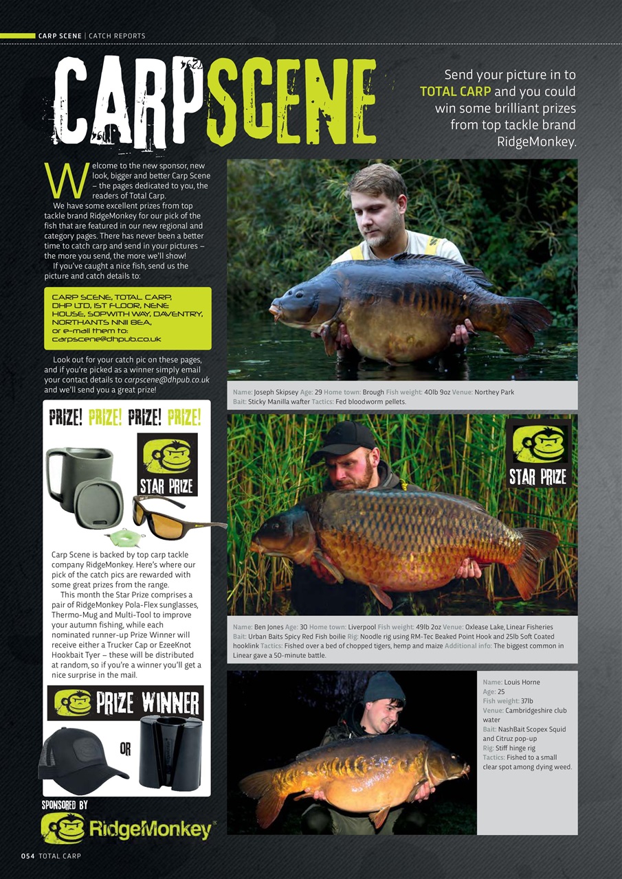 Total Carp Preview Pages