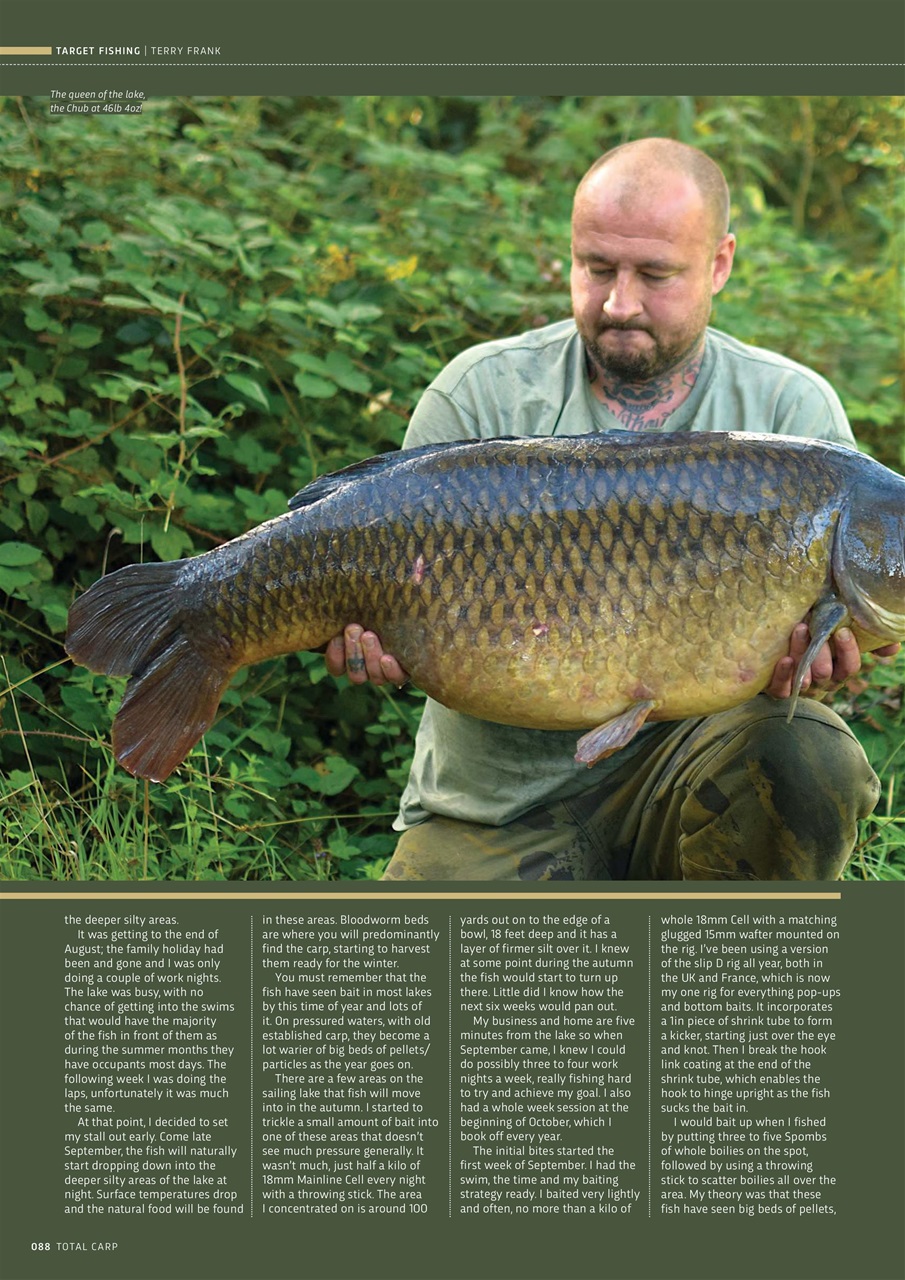 Total Carp Preview Pages