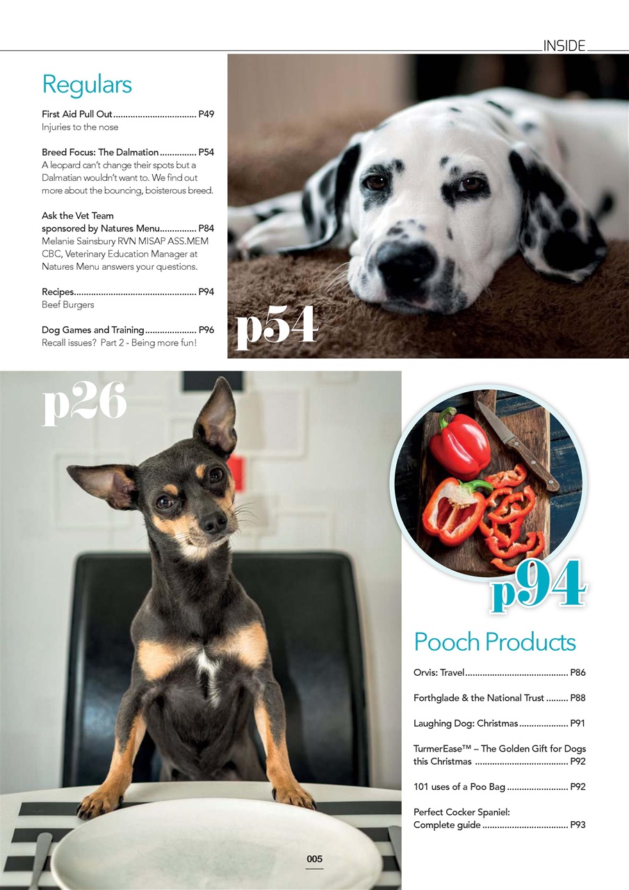 Edition Dog Preview Pages