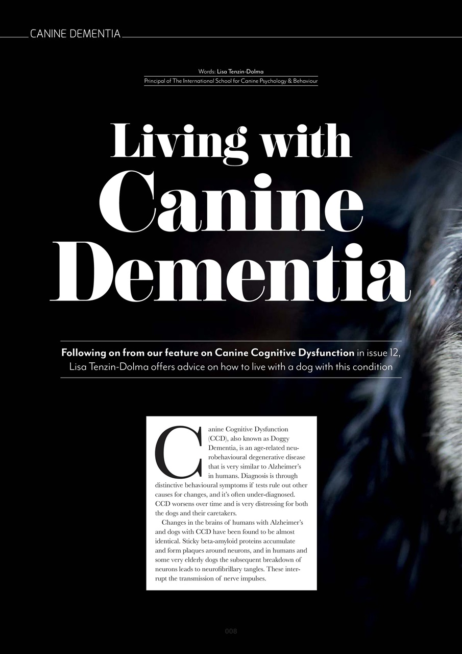 Edition Dog Preview Pages