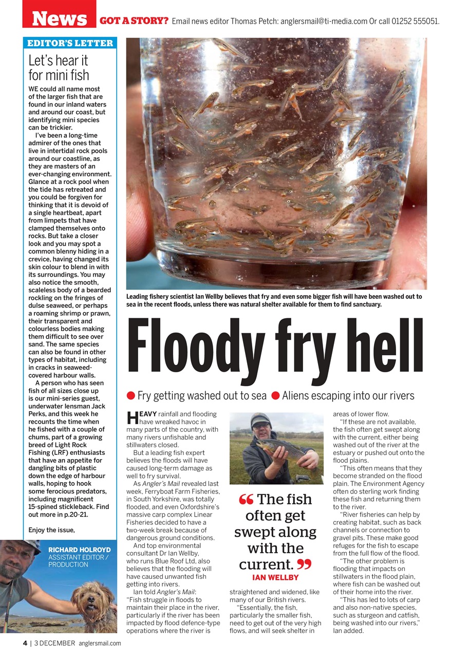 Anglers Mail Preview Pages