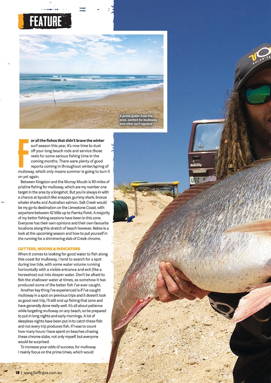 Fishing SA Preview Pages