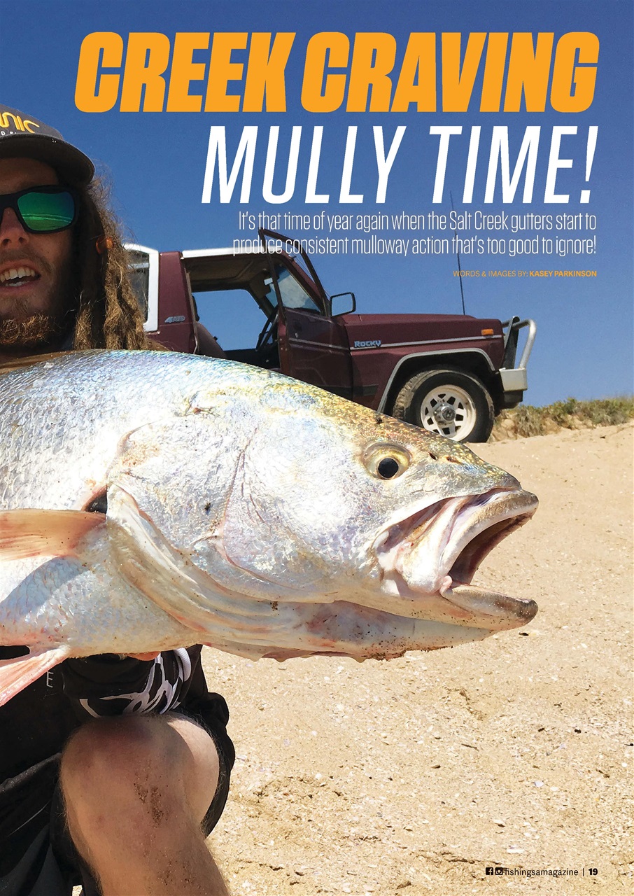 Fishing SA Preview Pages