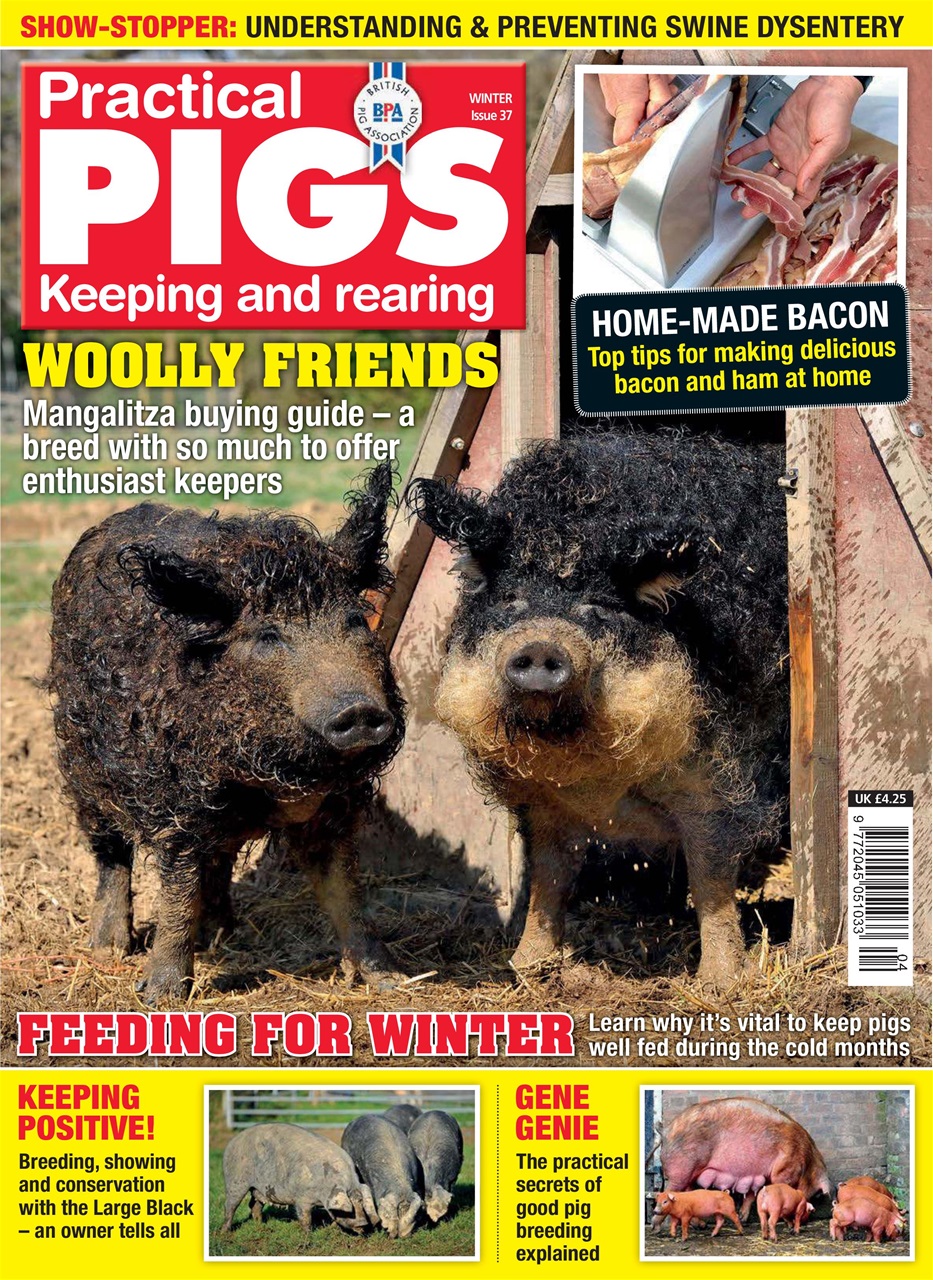 Practical Pigs Preview Pages