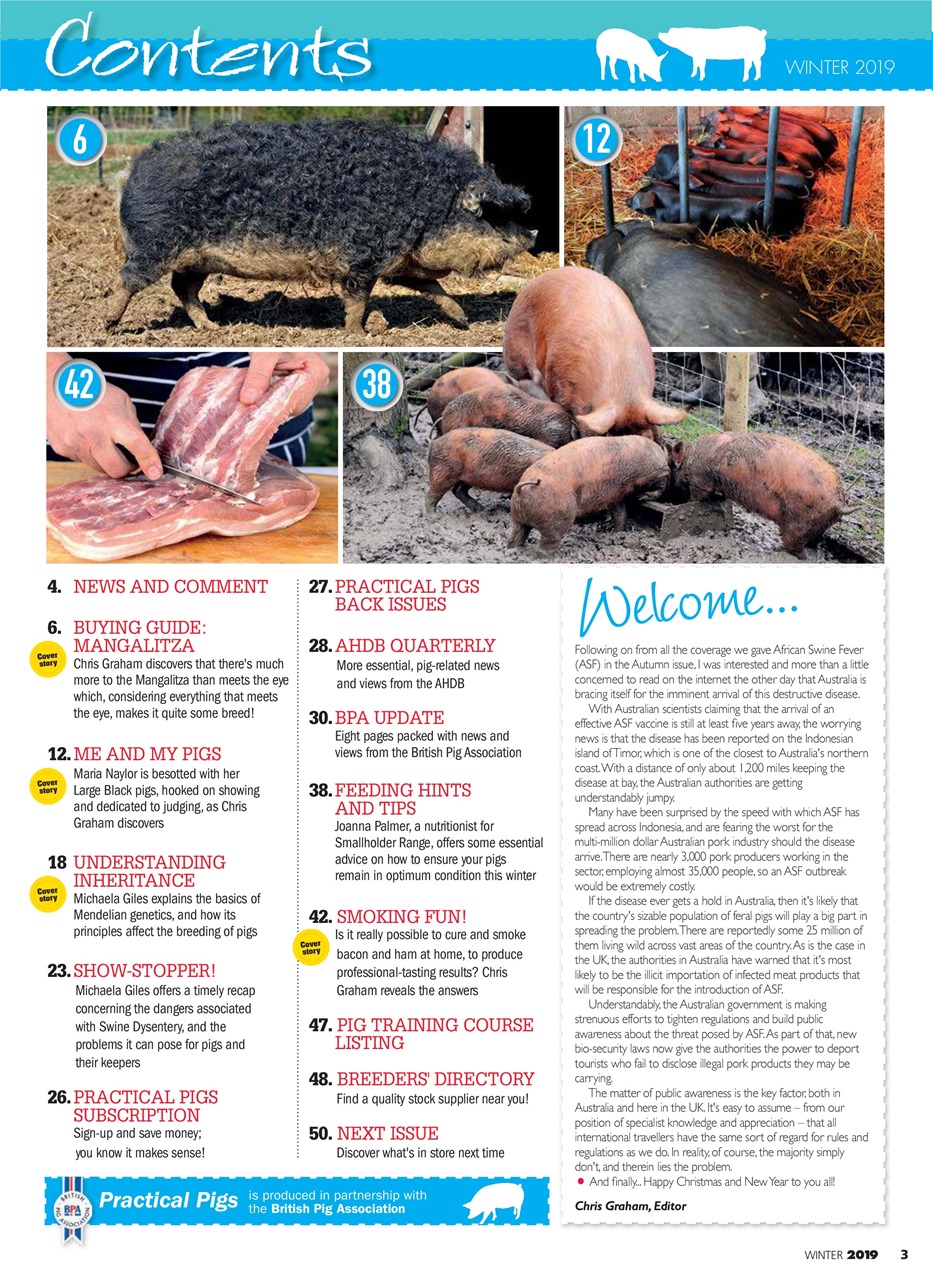 Practical Pigs Preview Pages