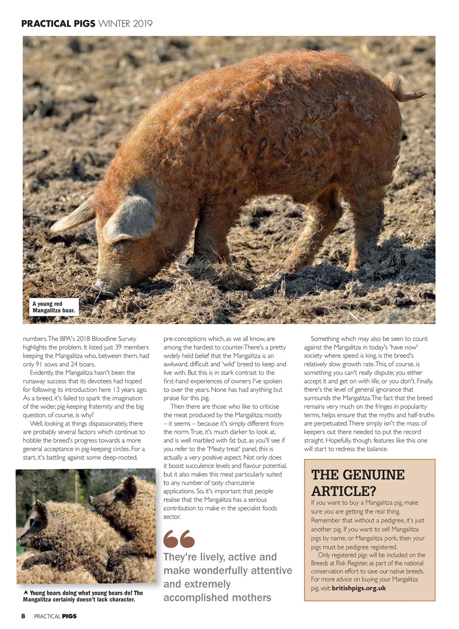 Practical Pigs Preview Pages