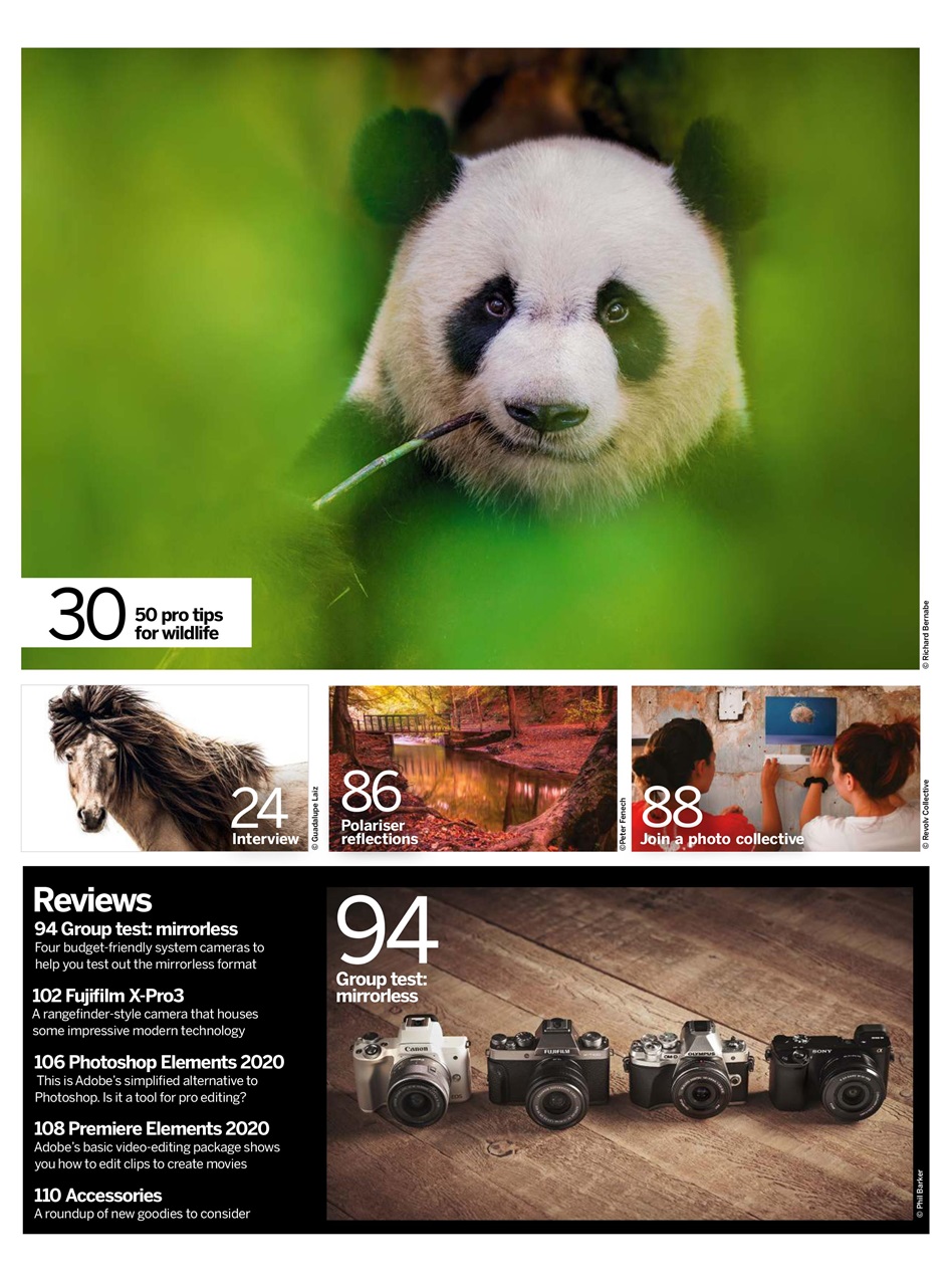 Digital Photographer Preview Pages