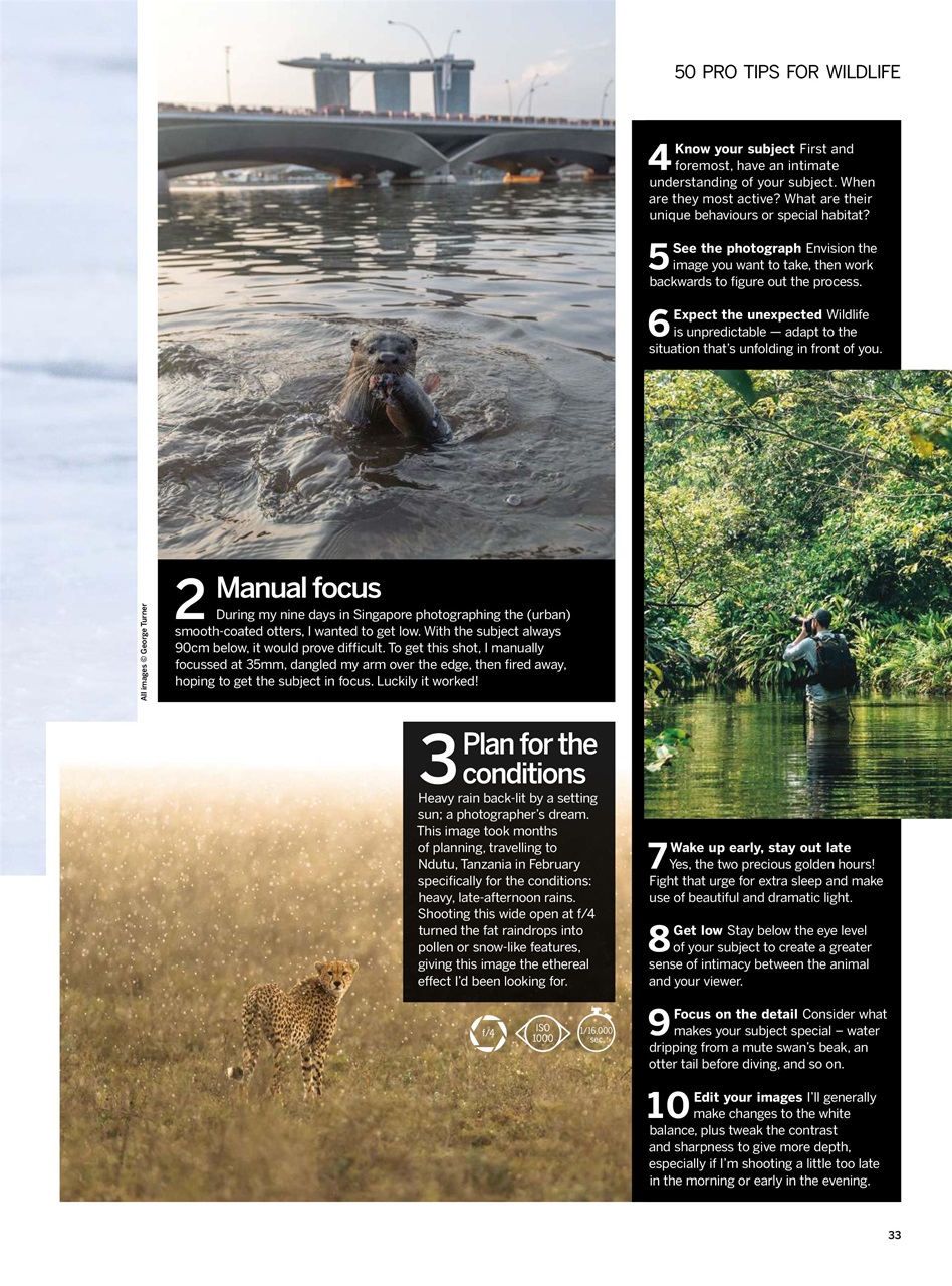 Digital Photographer Preview Pages