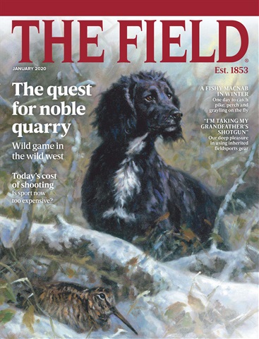 The Field issue January 2020