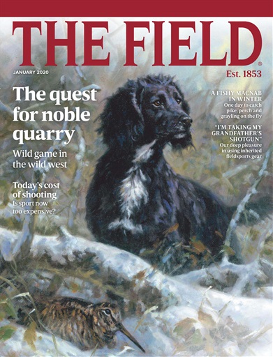 The Field issue 