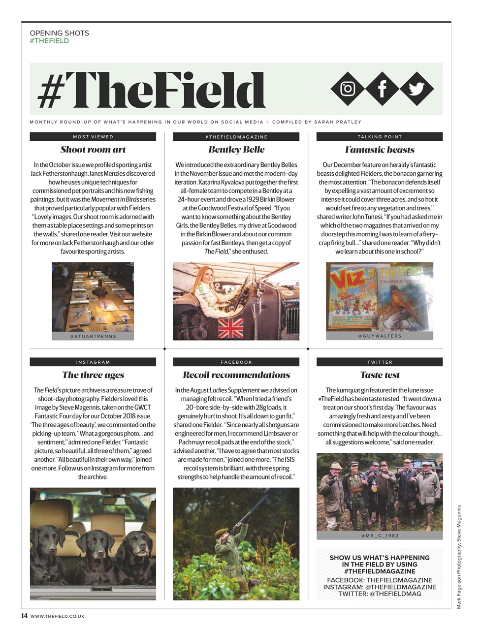 The Field Preview Pages