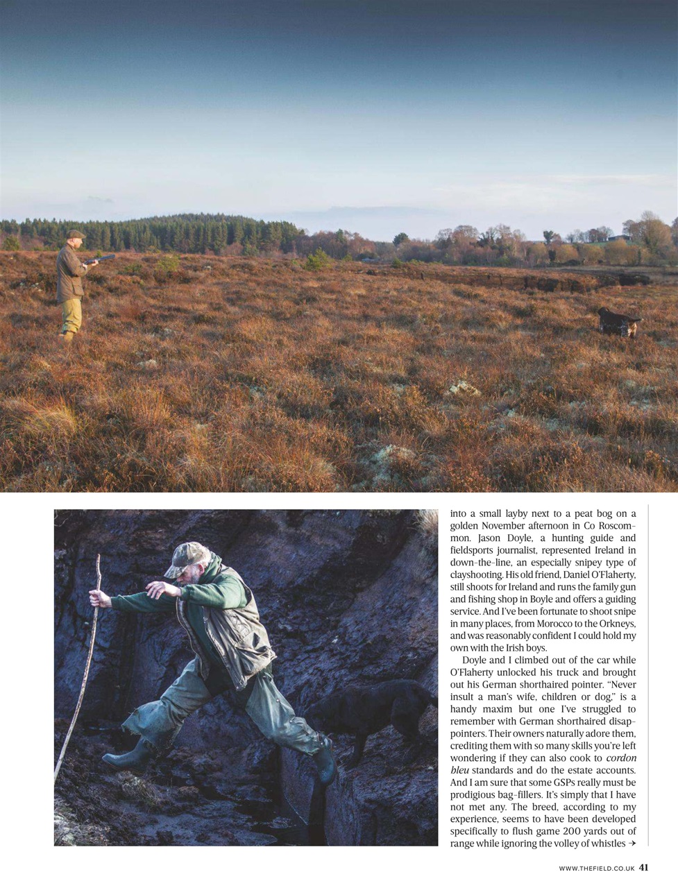 The Field Preview Pages