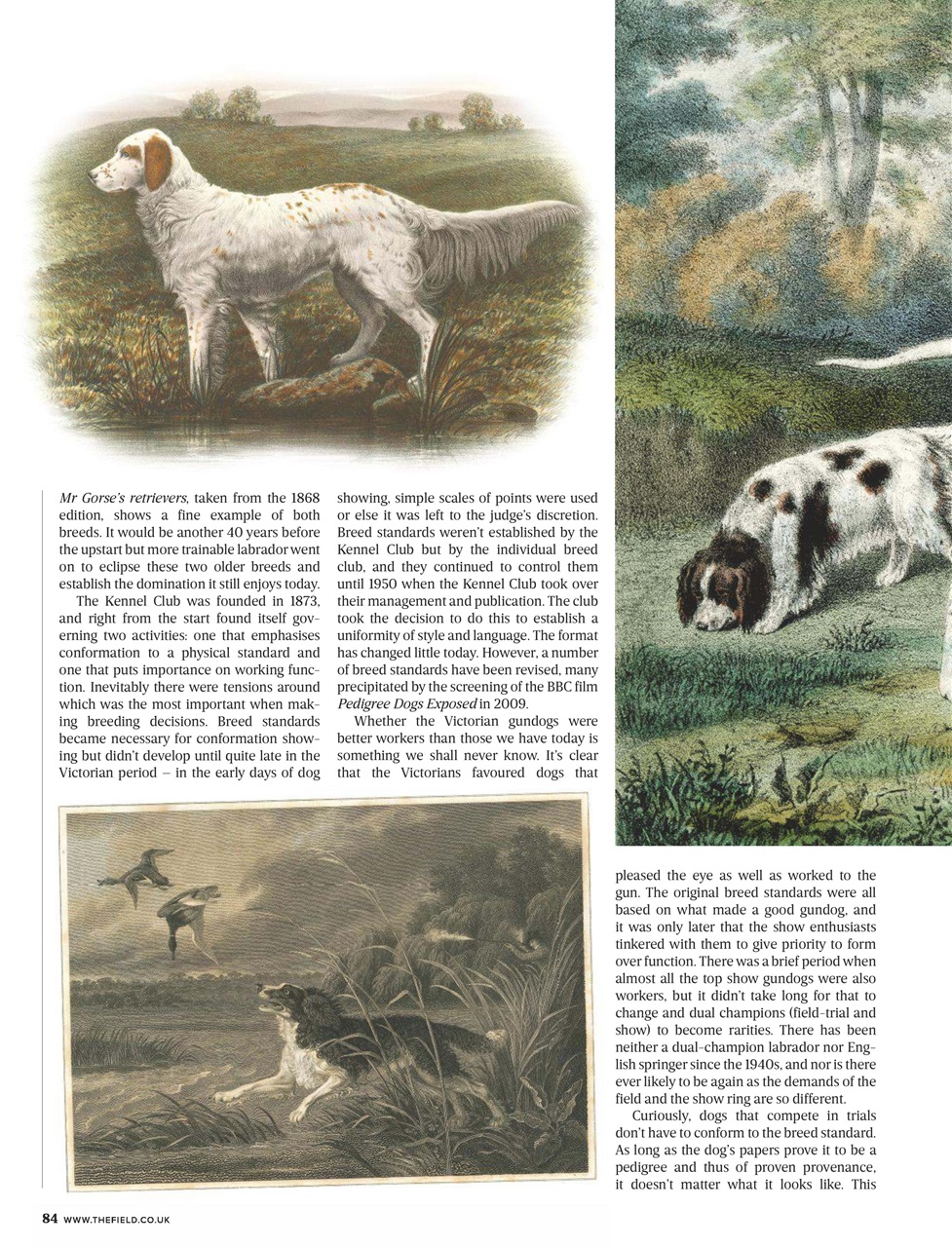 The Field Preview Pages