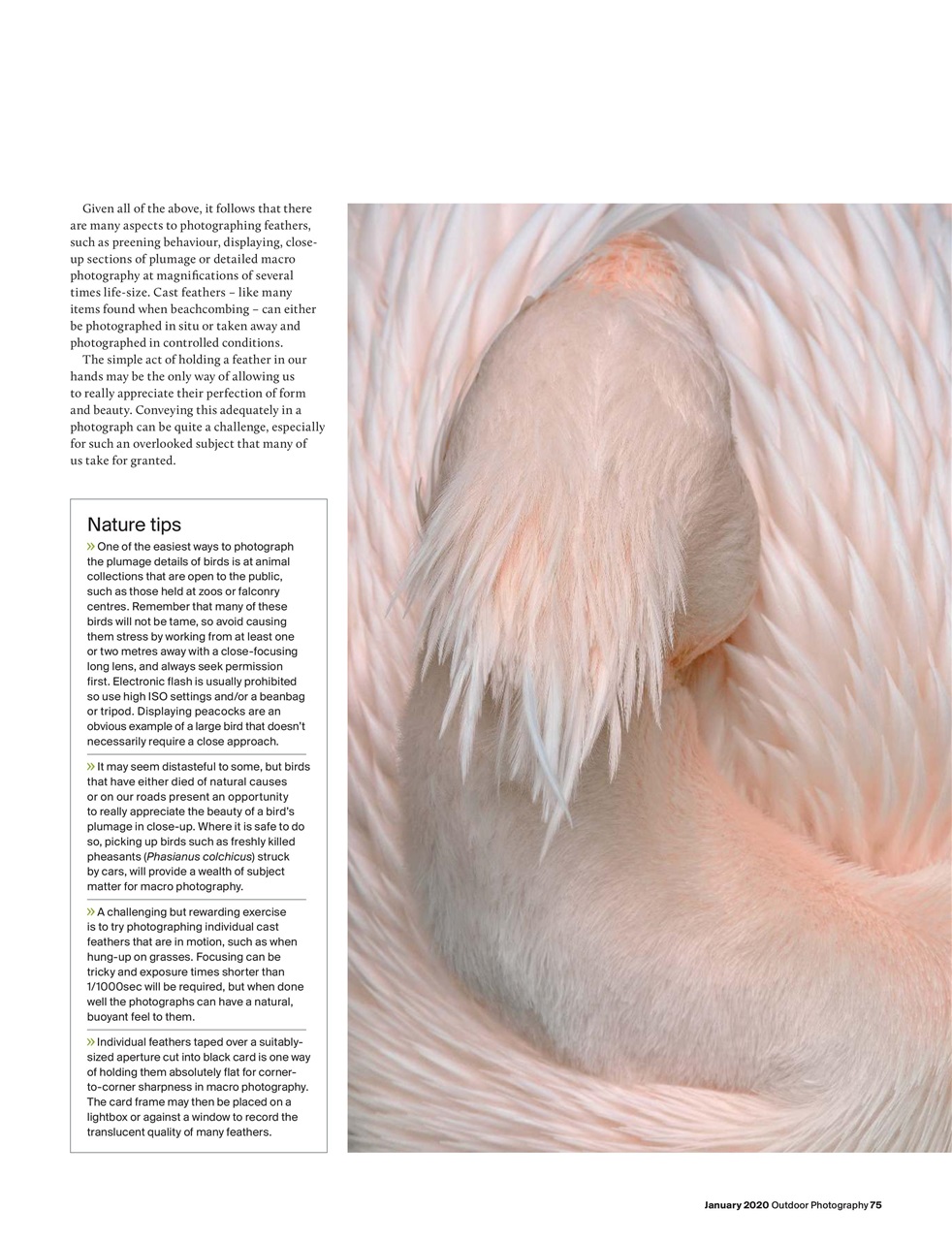 Outdoor Photography Preview Pages