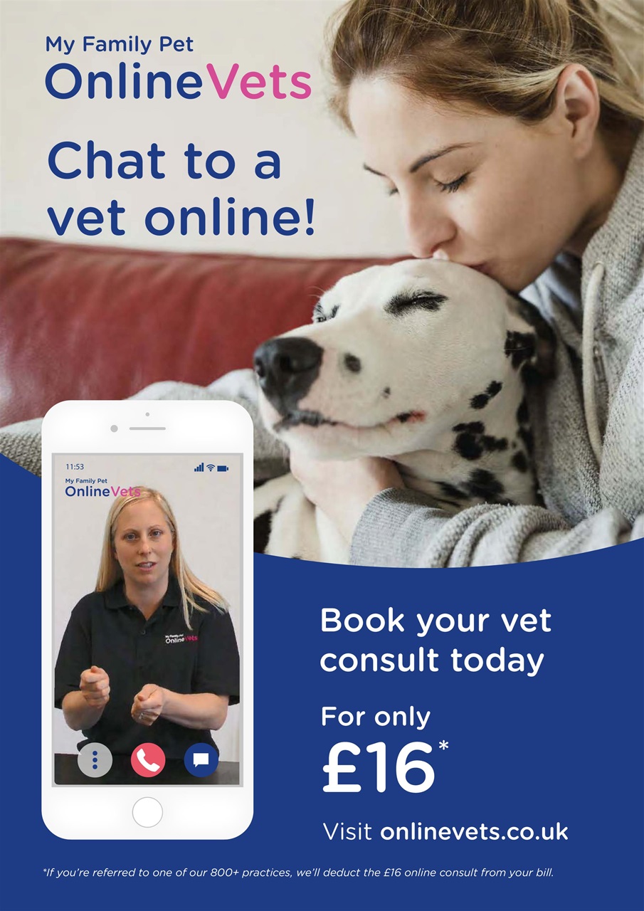 Dogs Monthly Preview Pages