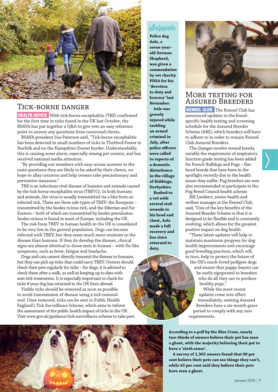 Dogs Monthly Preview Pages