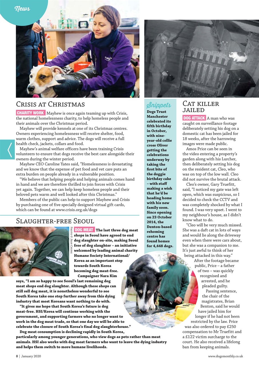 Dogs Monthly Preview Pages