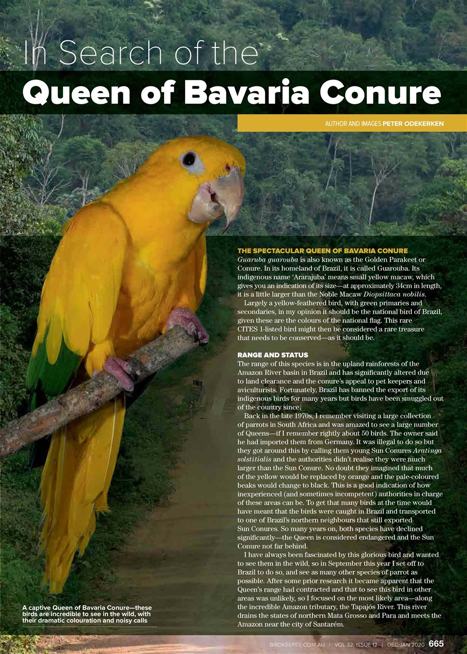 Australian Birdkeeper Magazine Preview Pages
