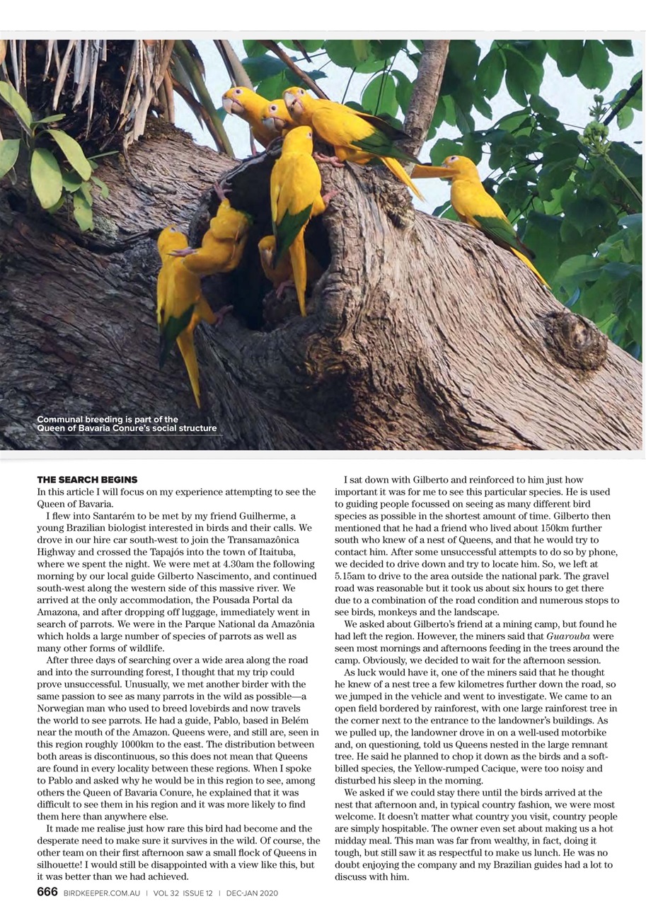 Australian Birdkeeper Magazine Preview Pages