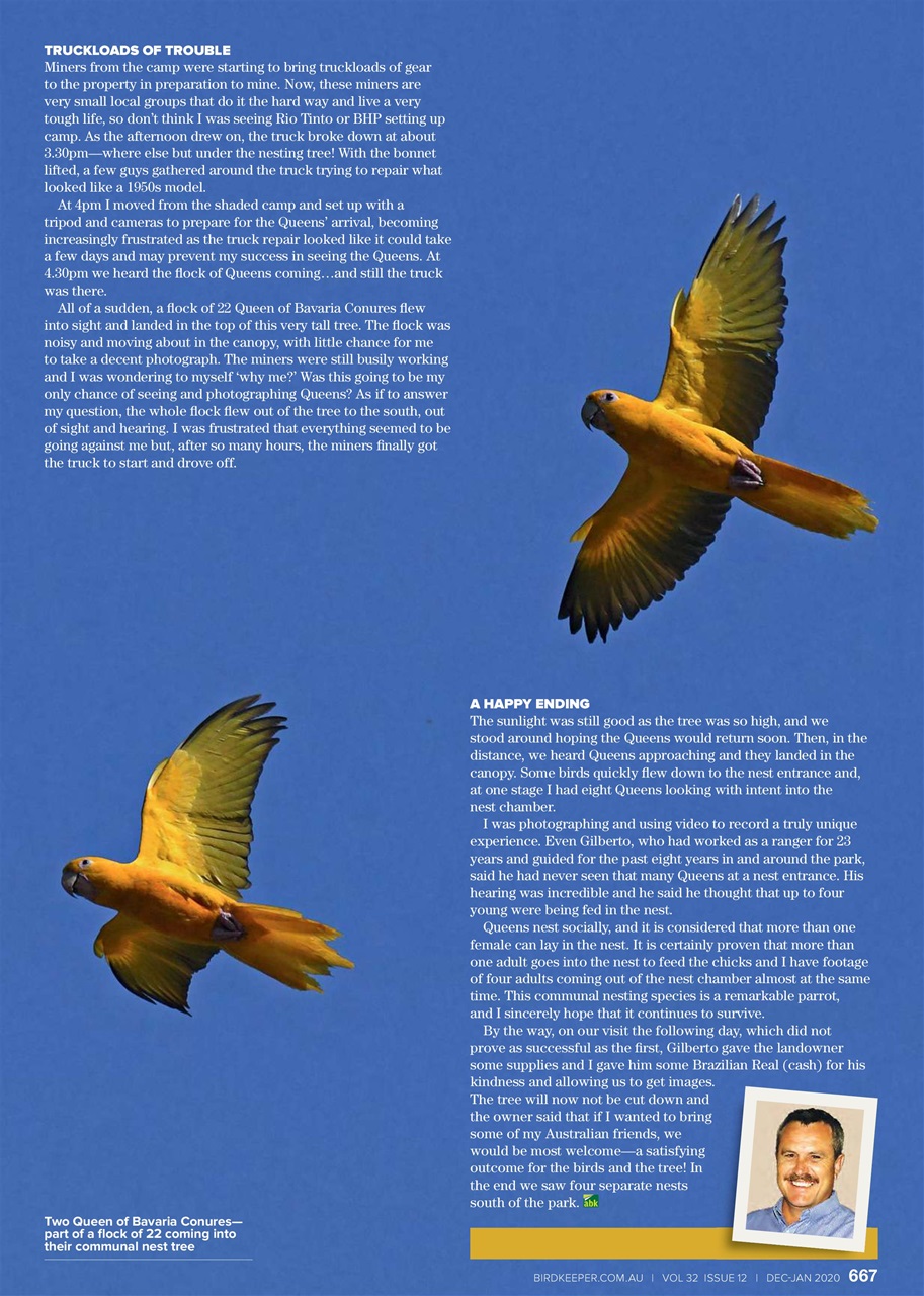 Australian Birdkeeper Magazine Preview Pages