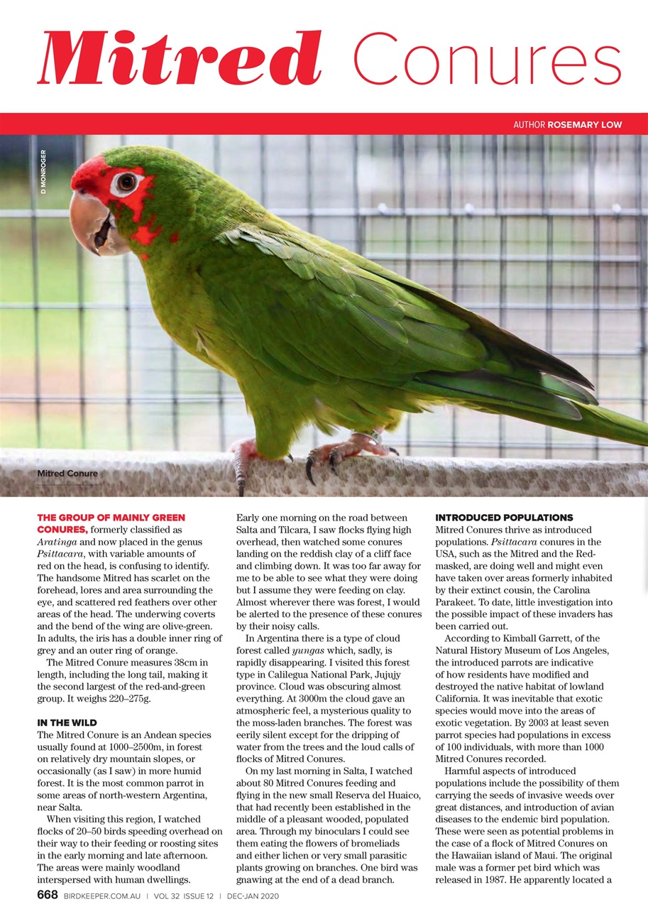 Australian Birdkeeper Magazine Preview Pages