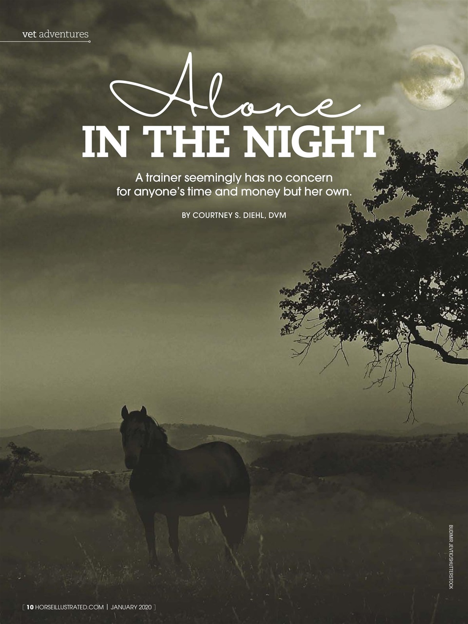 Horse Illustrated Magazine Preview Pages