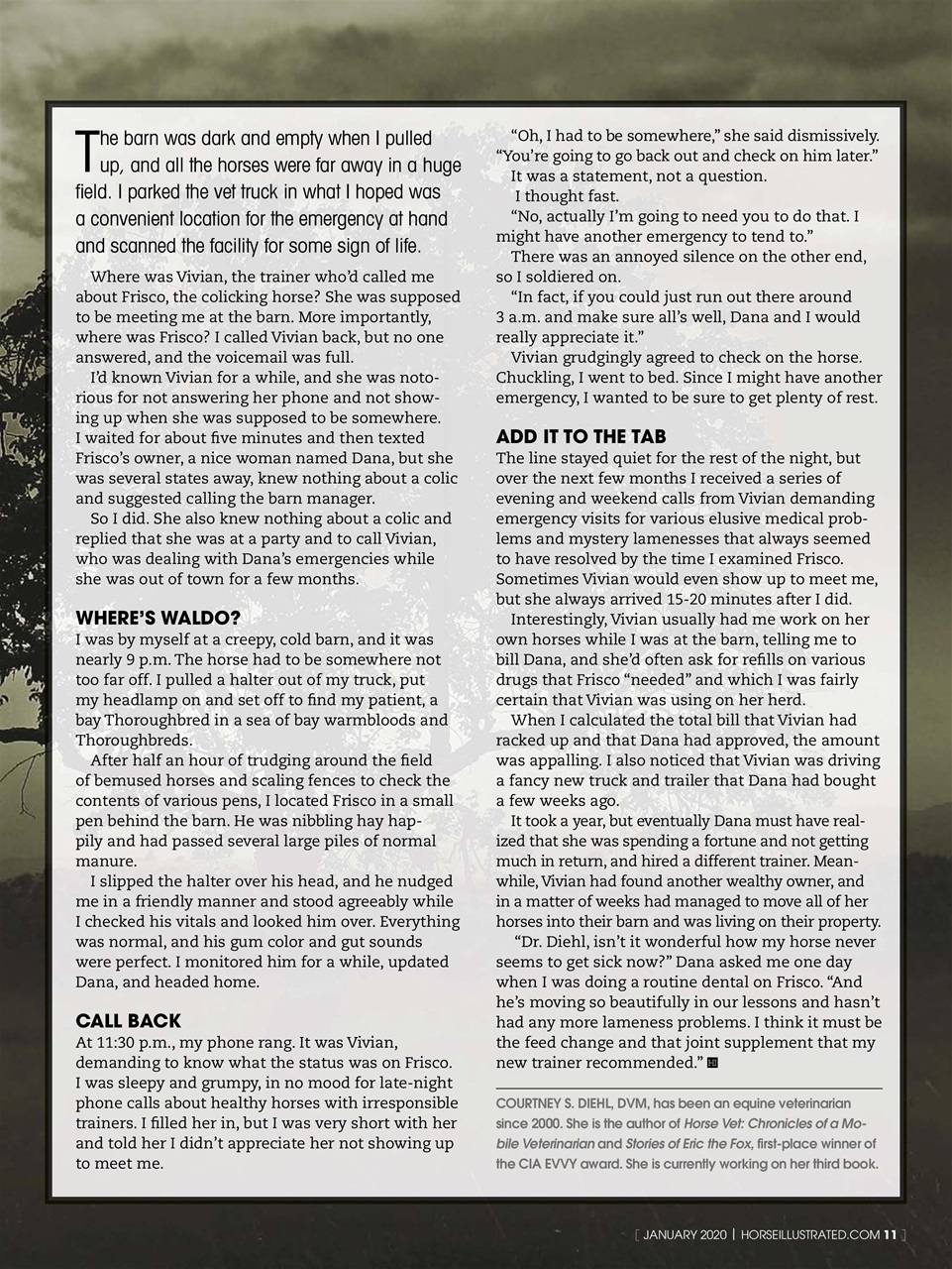 Horse Illustrated Magazine Preview Pages