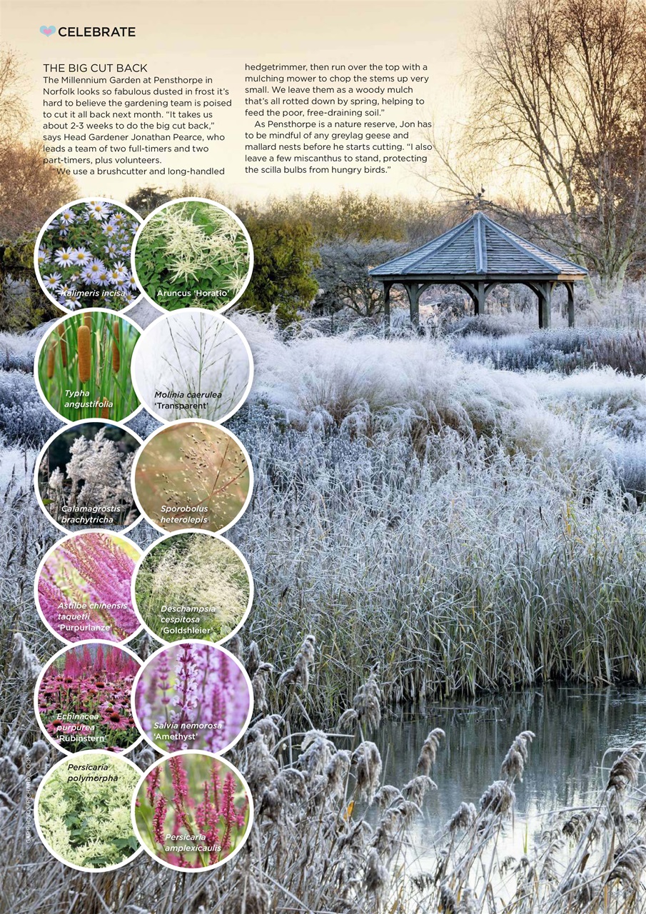 Garden Answers Preview Pages
