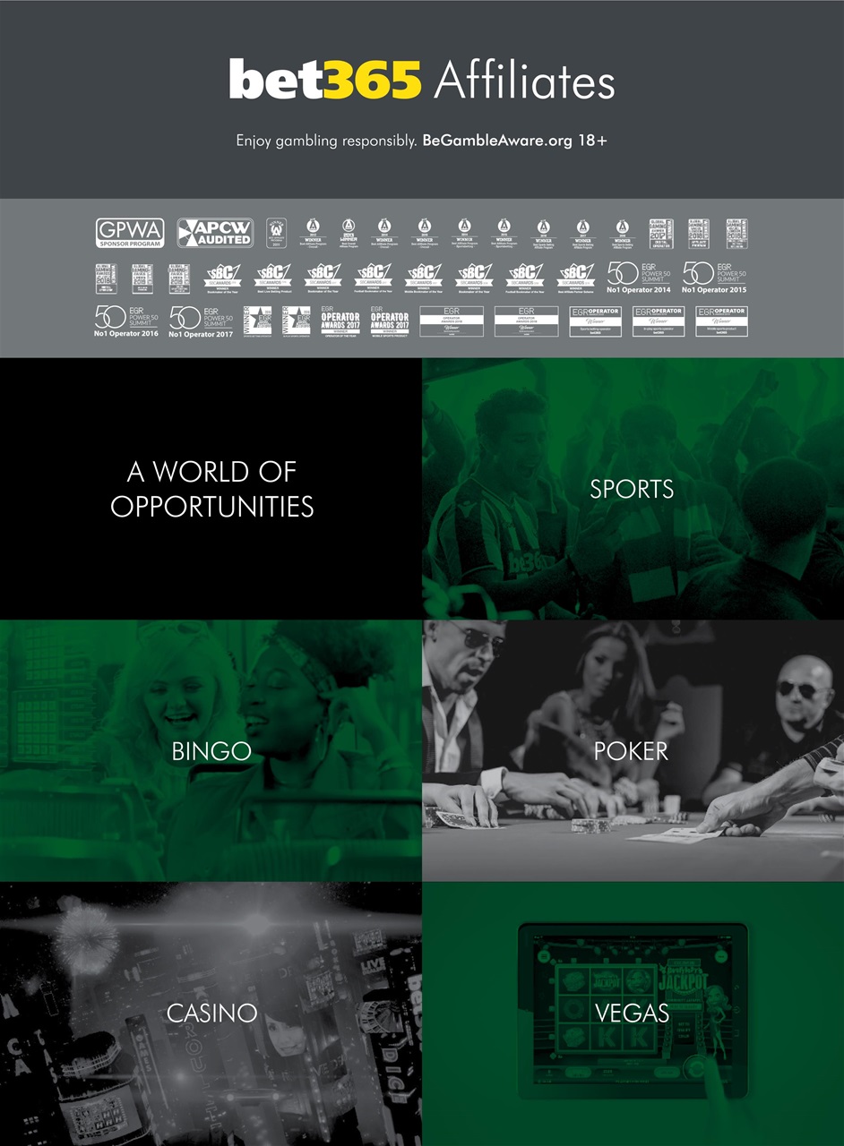 Trafficology Preview Pages