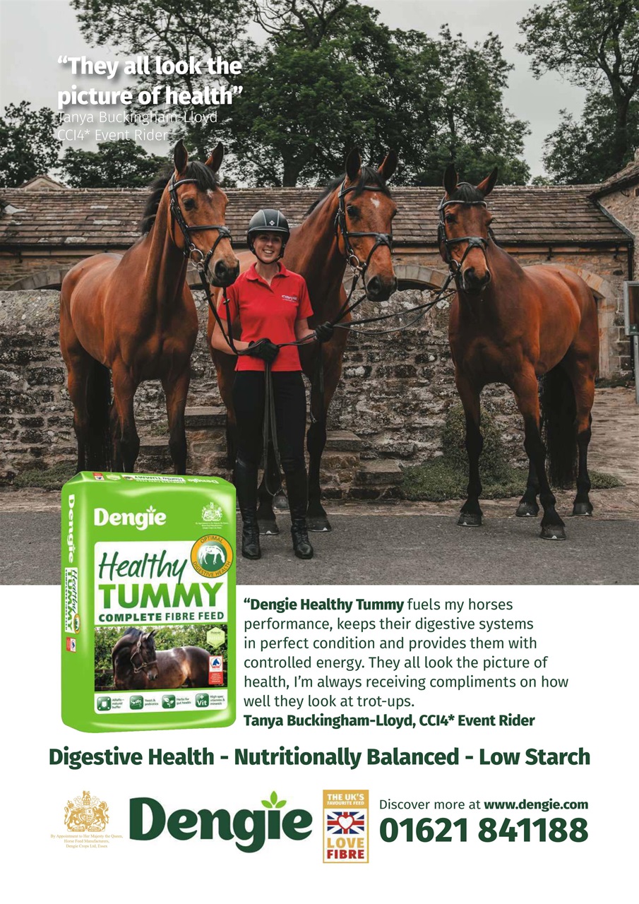 Your Horse Preview Pages