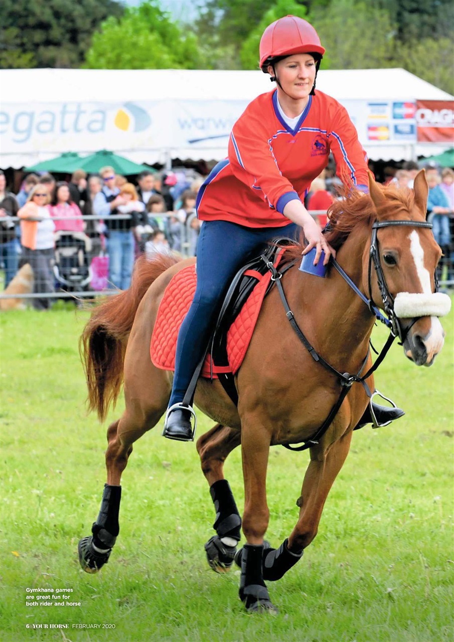 Your Horse Preview Pages