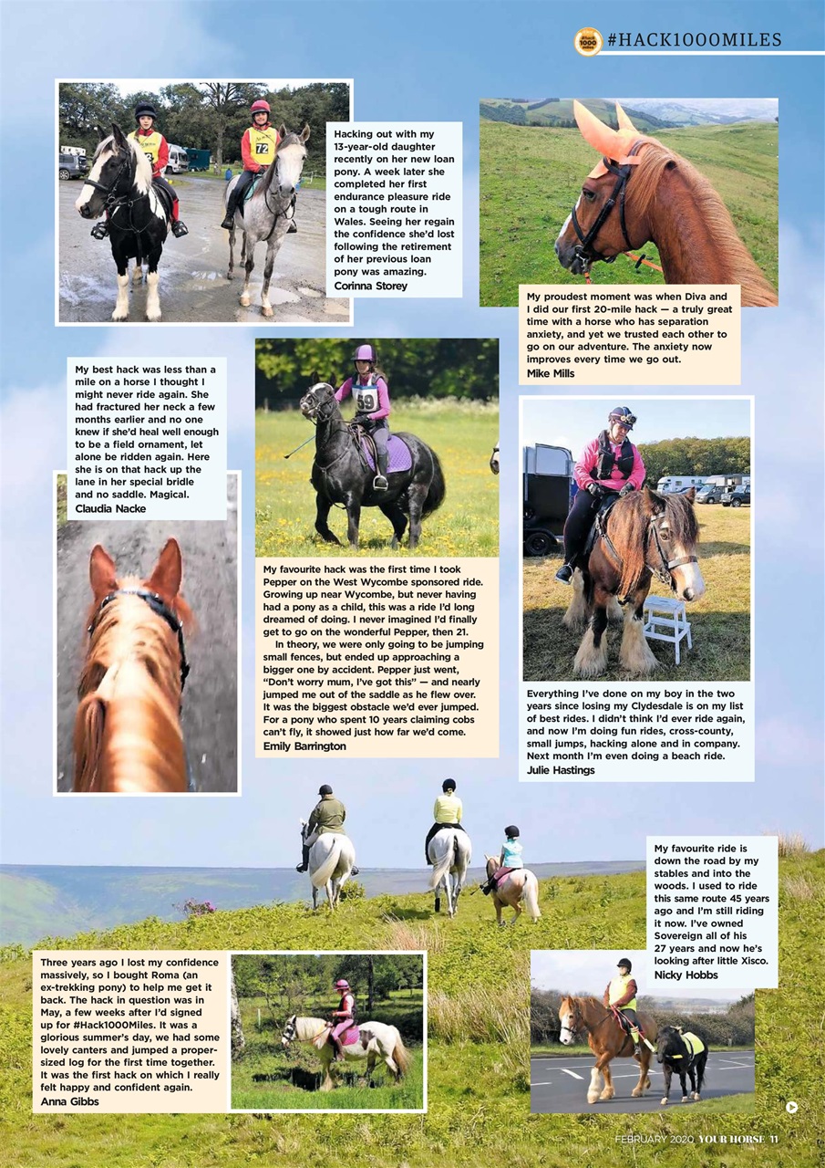 Your Horse Preview Pages
