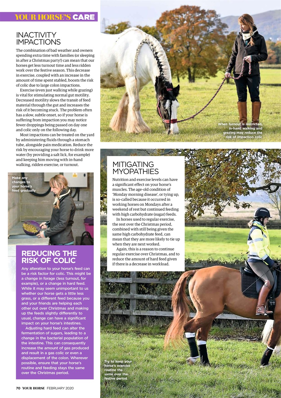 Your Horse Preview Pages