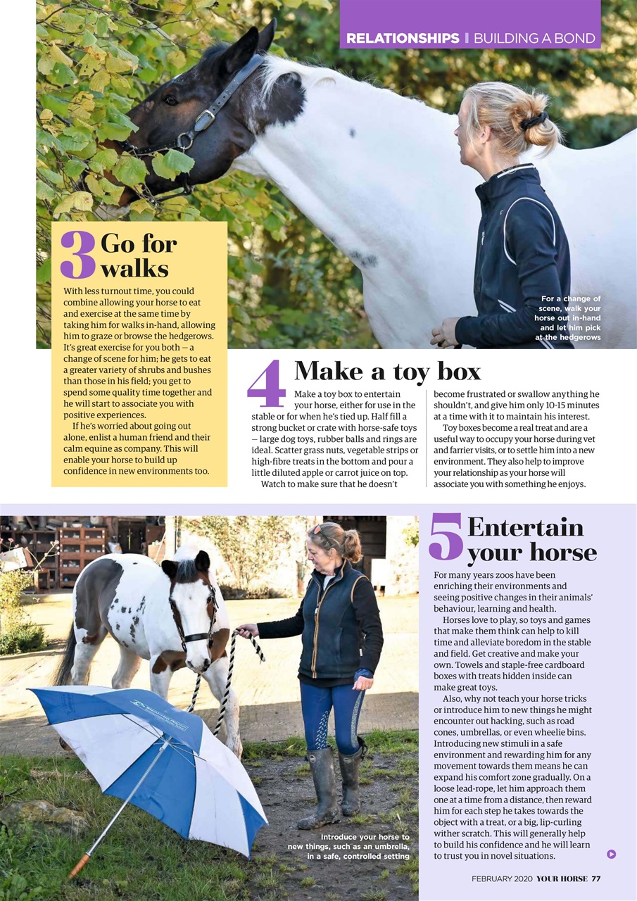 Your Horse Preview Pages