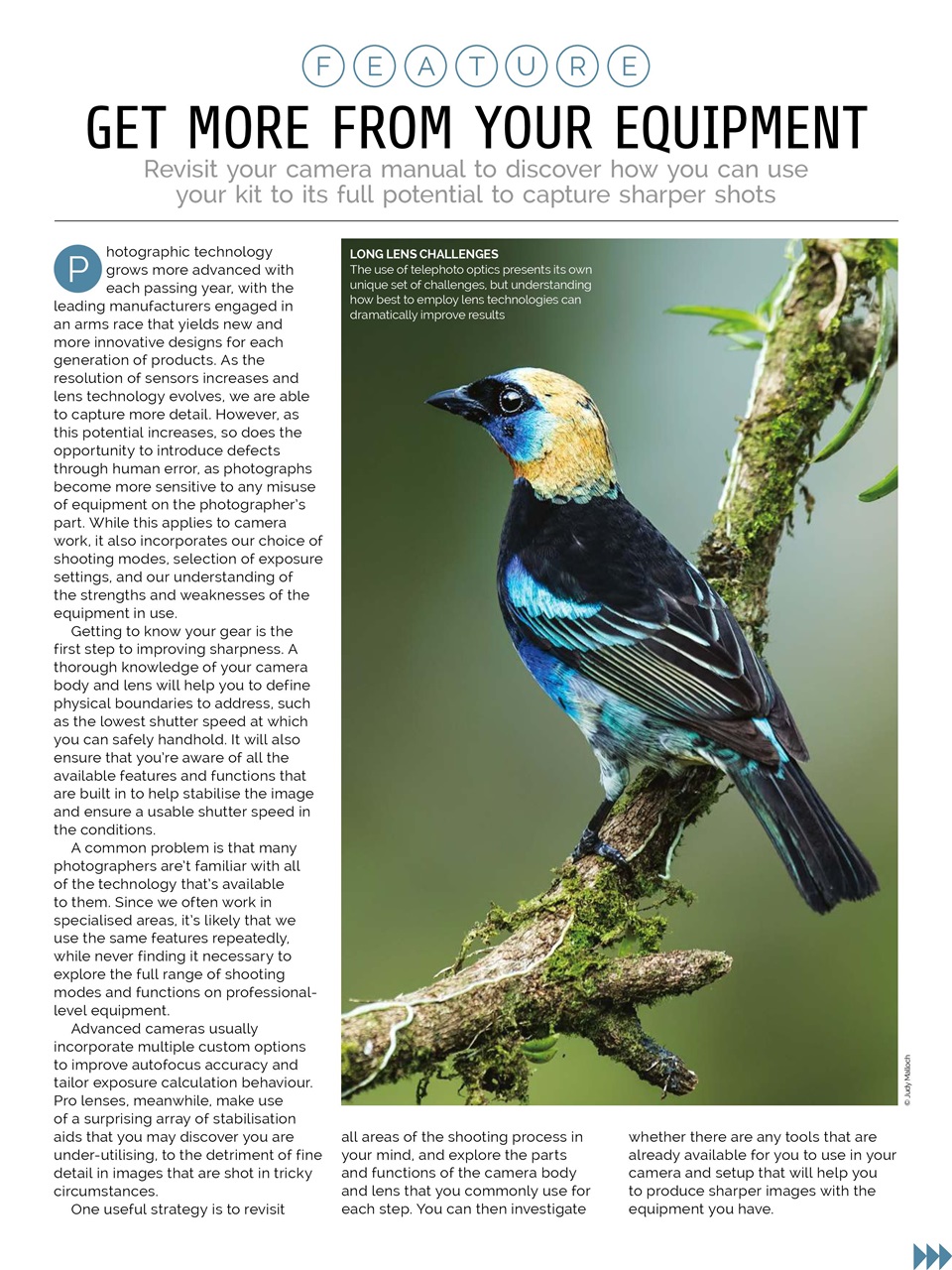 Photography Week Preview Pages