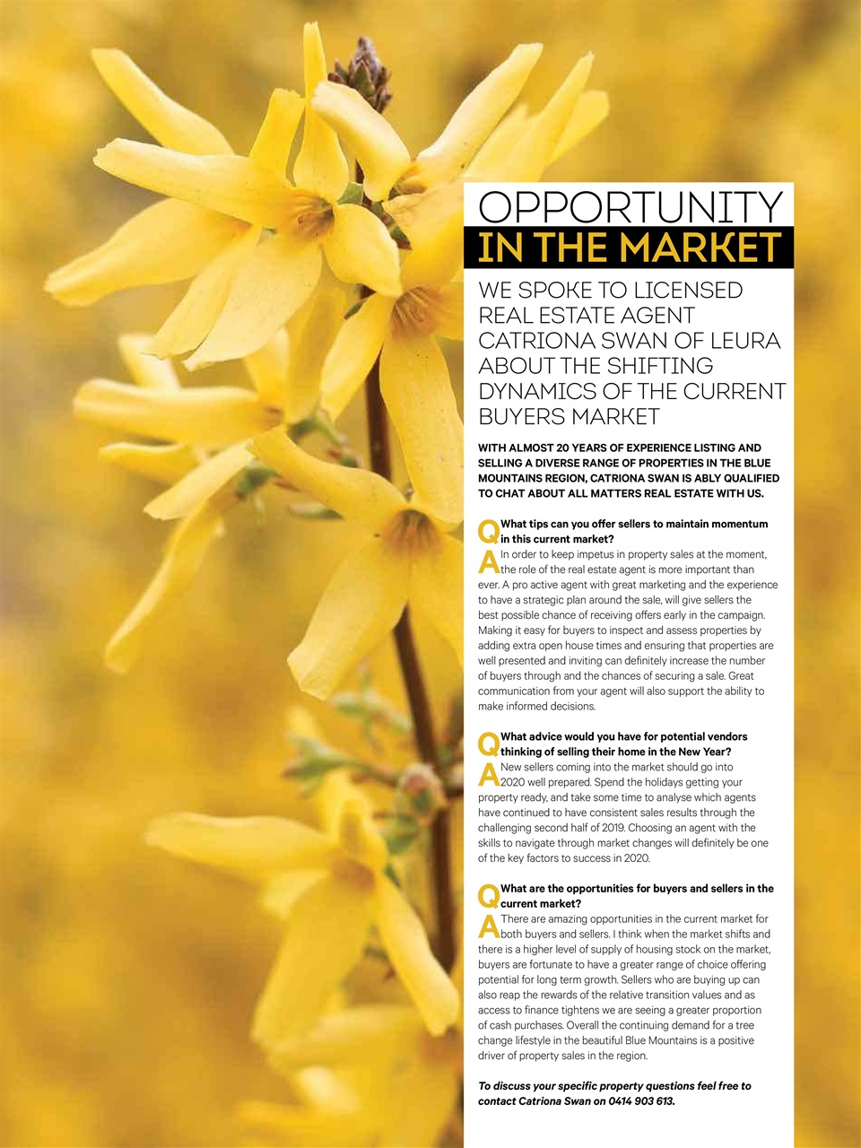 Blue Mountains Life Preview Pages