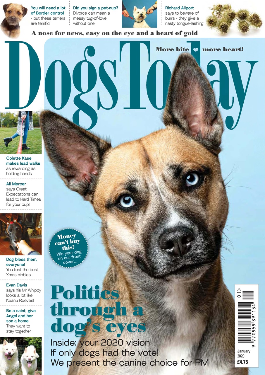 Dogs Today Magazine Preview Pages