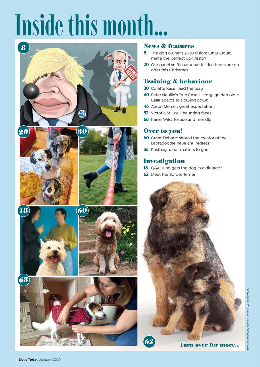 Dogs Today Magazine Preview Pages