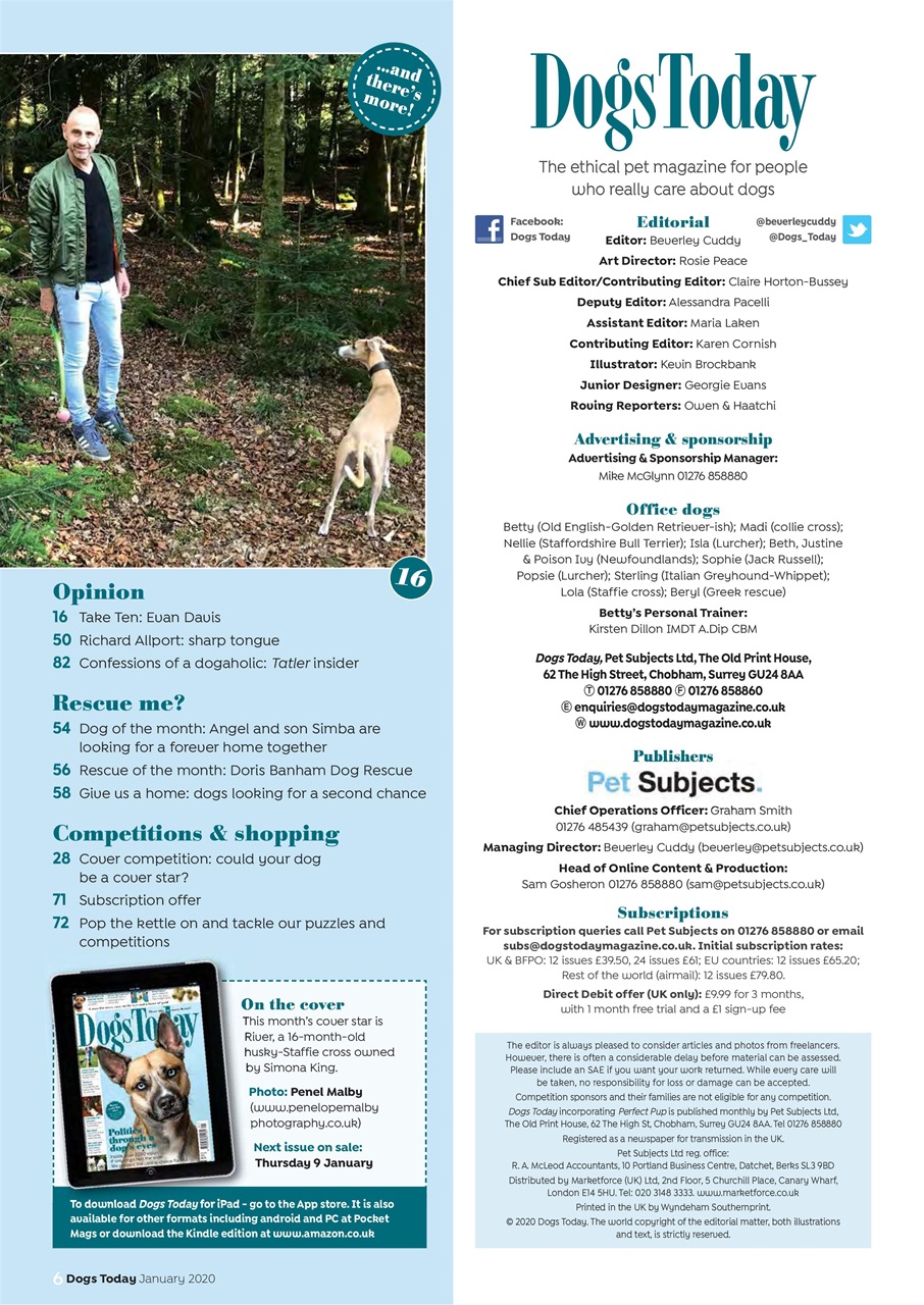 Dogs Today Magazine Preview Pages