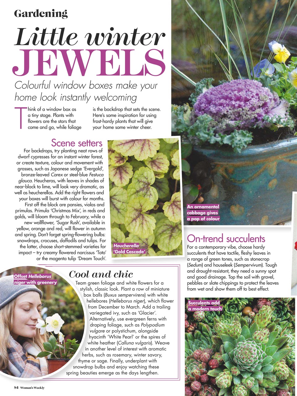 Woman's Weekly Preview Pages