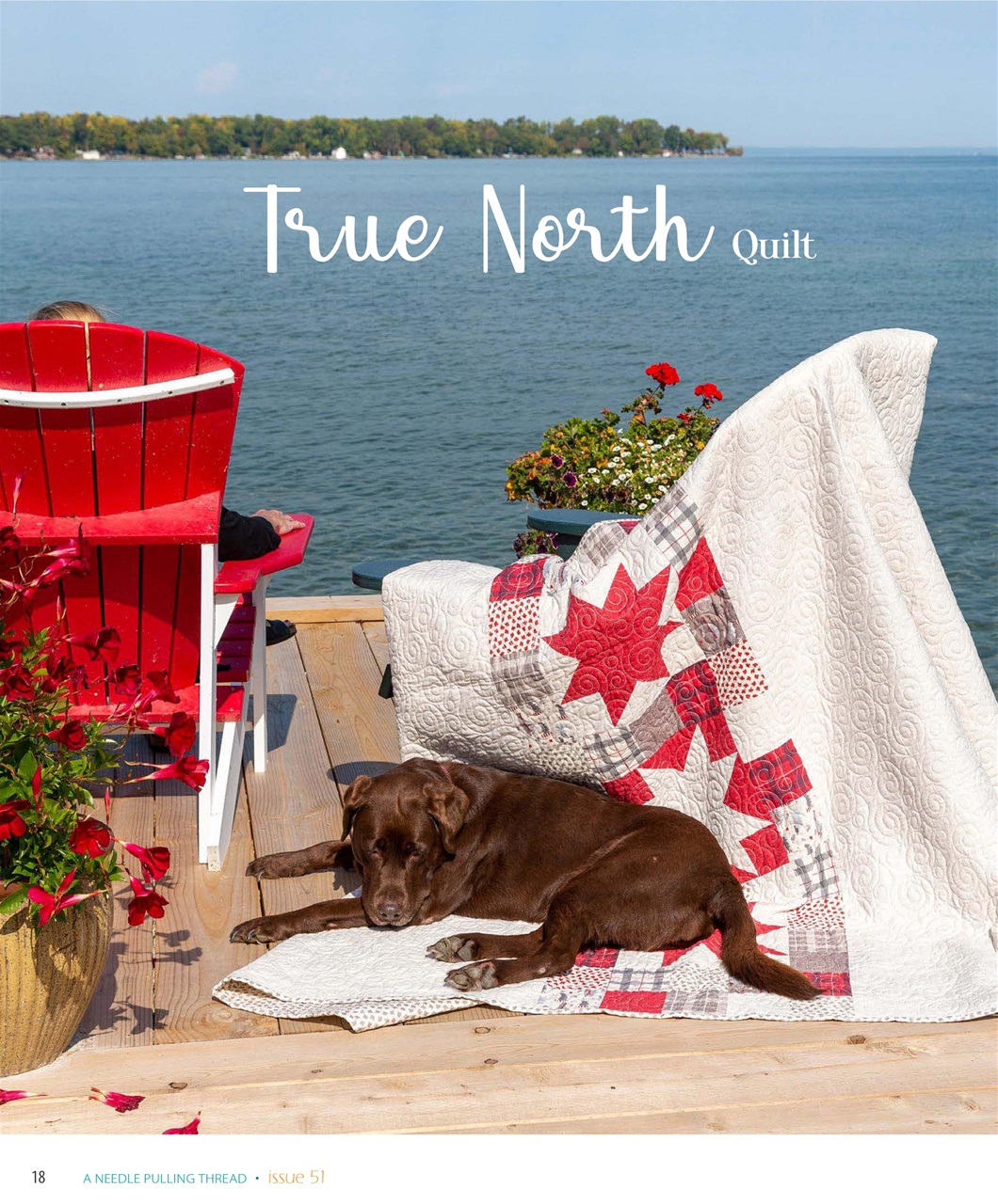 A Needle Pulling Thread Preview Pages