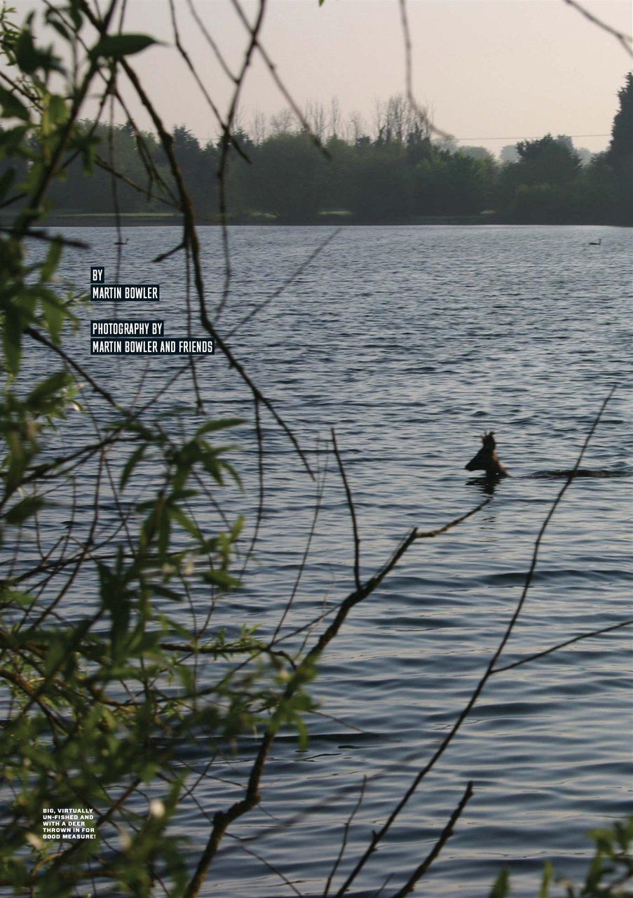 CARPology Magazine Preview Pages